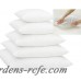 Alwyn Home White Super Soft Pillow Insert with Protectors ANEW2145